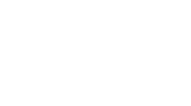 Christian Vallejos Logo